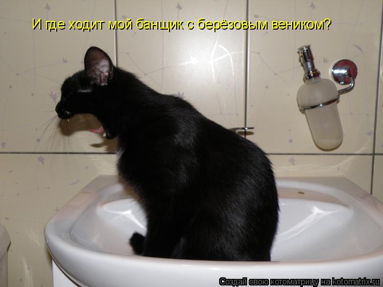 И где ходит мой банщик с берёзовым веником?... Котоматрица: И где ходит мой банщик с берёзовым веником?
