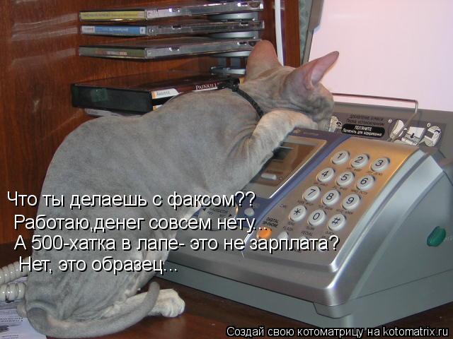 Что ты делаешь с факсом?? Работаю,денег совсем нету... А 500-хатка в лапе- это не зарплата? Нет, это ... Котоматрица: Что ты делаешь с факсом?? Работаю,денег совсем нету... А 500-хатка в лапе- это не зарплата? Нет, это образец...
