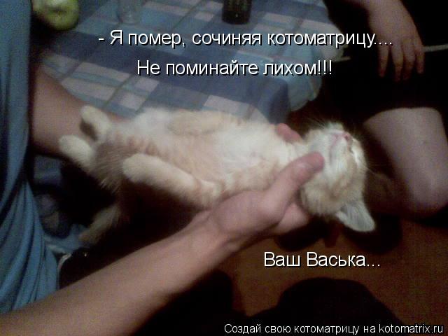- Я помер, сочиняя котоматрицу.... Не поминайте лихом!!! Ваш Васька...... Котоматрица: - Я помер, сочиняя котоматрицу.... Не поминайте лихом!!! Ваш Васька...