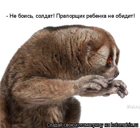 - Не боись, солдат! Прапорщик ребенка не обидит!... Котоматрица: - Не боись, солдат! Прапорщик ребенка не обидит!