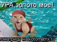 УРА,золото мое!... Котоматрица: УРА,золото мое!