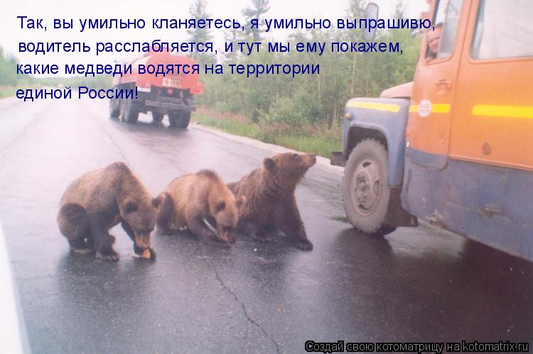 Так, вы умильно кланяетесь, я умильно выпрашивю, водитель расслабляется, и тут мы ему покажем, какие ... Котоматрица: Так, вы умильно кланяетесь, я умильно выпрашивю, водитель расслабляется, и тут мы ему покажем, какие медведи водятся на территории единой Ро