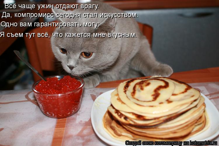 Всё чаще ужин отдают врагу. Да, компромисс сегодня стал искусством. Одно вам гарантировать могу: Я съ... Котоматрица: Всё чаще ужин отдают врагу. Да, компромисс сегодня стал искусством. Одно вам гарантировать могу: Я съем тут всё, что кажется мне вкусным.