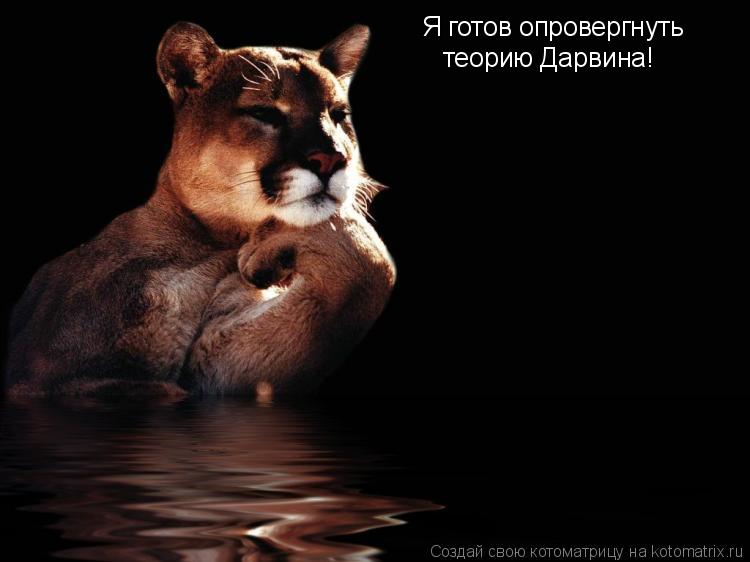 Я готов опровергнуть теорию Дарвина!... Котоматрица: Я готов опровергнуть теорию Дарвина!