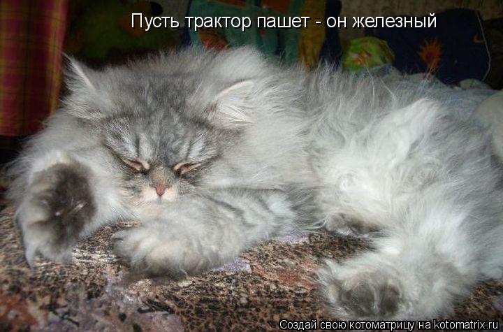 Пусть трактор пашет - он железный... Котоматрица: Пусть трактор пашет - он железный