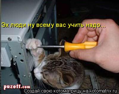 Эх люди ну всему вас учить надо...... Котоматрица: Эх люди ну всему вас учить надо...