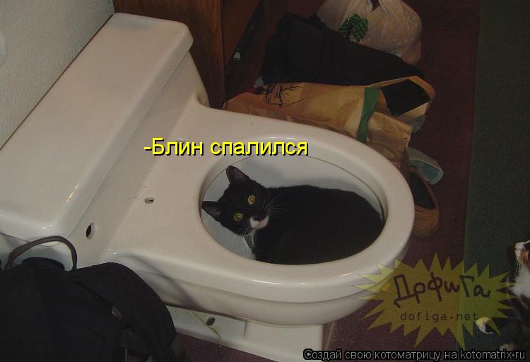 -Блин спалился... Котоматрица: -Блин спалился