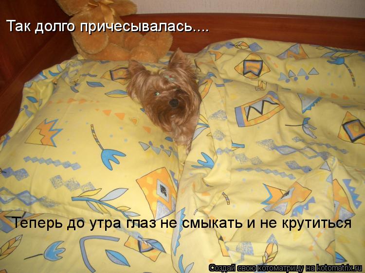 Так долго причесывалась.... Теперь до утра глаз не смыкать и не крутиться... Котоматрица: Так долго причесывалась.... Теперь до утра глаз не смыкать и не крутиться
