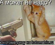 А может не надо?... Котоматрица: А может не надо?