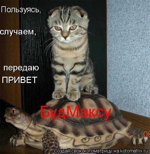 Пользуясь, случаем, передаю ПРИВЕТ БудМаксу... Котоматрица: Пользуясь, случаем, передаю ПРИВЕТ БудМаксу