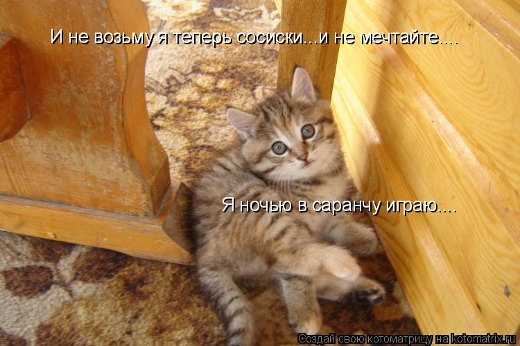 И не возьму я теперь сосиски...и не мечтайте.... И не возьму я теперь сосиски...и не мечтайте.... Я н... Котоматрица: И не возьму я теперь сосиски...и не мечтайте.... И не возьму я теперь сосиски...и не мечтайте.... Я ночью в саранчу играю....