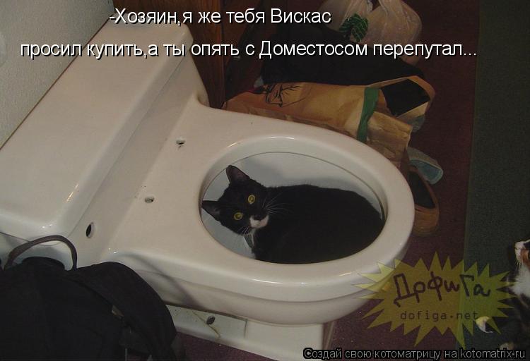 просил купить,а ты опять с Доместосом перепутал... -Хозяин,я же тебя Вискас... Котоматрица: просил купить,а ты опять с Доместосом перепутал... -Хозяин,я же тебя Вискас