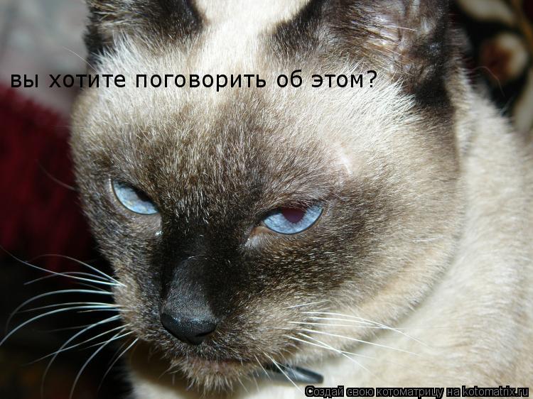 вы хотите поговорить об этом?... Котоматрица: вы хотите поговорить об этом?