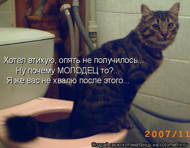 Хотел втихую, опять не получилось... Ну почему МОЛОДЕЦ то?... Я же вас не хвалю после этого...... Котоматрица: Хотел втихую, опять не получилось... Ну почему МОЛОДЕЦ то?... Я же вас не хвалю после этого...