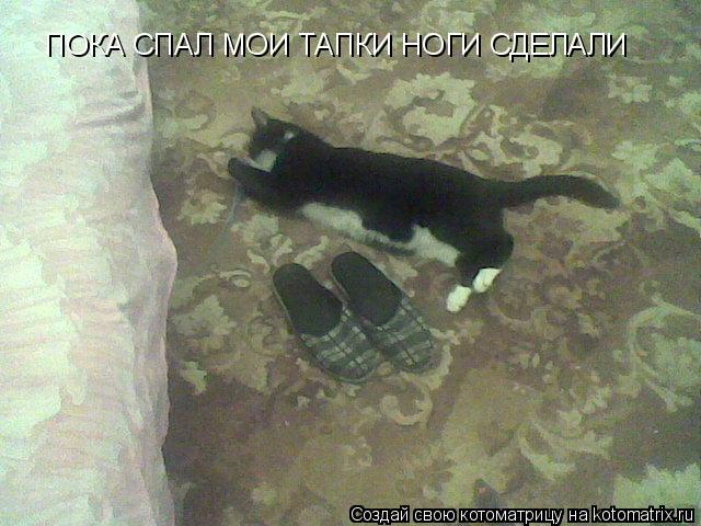 ПОКА СПАЛ МОИ ТАПКИ НОГИ СДЕЛАЛИ... Котоматрица: ПОКА СПАЛ МОИ ТАПКИ НОГИ СДЕЛАЛИ