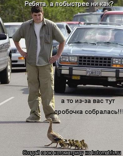 Ребята, а побыстрее ни как? Ребята, а побыстрее ни как? пробочка собралась!!! а то из-за вас тут... Котоматрица: Ребята, а побыстрее ни как? Ребята, а побыстрее ни как? пробочка собралась!!! а то из-за вас тут