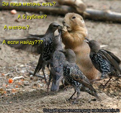 Эй паца мелочь есть? А 5 рублей? А мелочь? А если найду???... Котоматрица: Эй паца мелочь есть? А 5 рублей? А мелочь? А если найду???