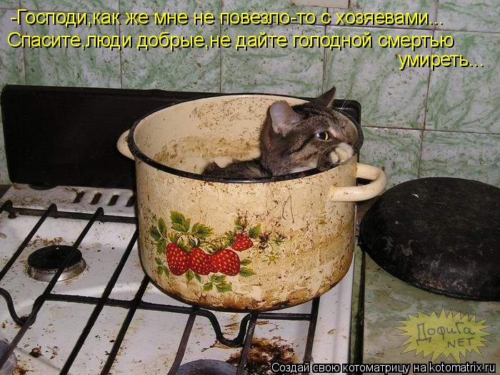 -Господи,как же мне не повезло-то с хозяевами... Спасите,люди добрые,не дайте голодной смертью умире... Котоматрица: -Господи,как же мне не повезло-то с хозяевами... Спасите,люди добрые,не дайте голодной смертью умиреть...