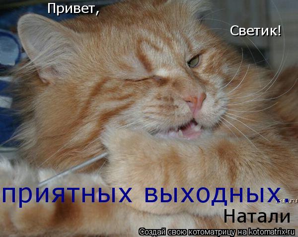 Привет, Светик! приятных выходных. Натали... Котоматрица: Привет, Светик! приятных выходных. Натали