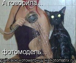 А говорила... фотомодель...... Котоматрица: А говорила... фотомодель...