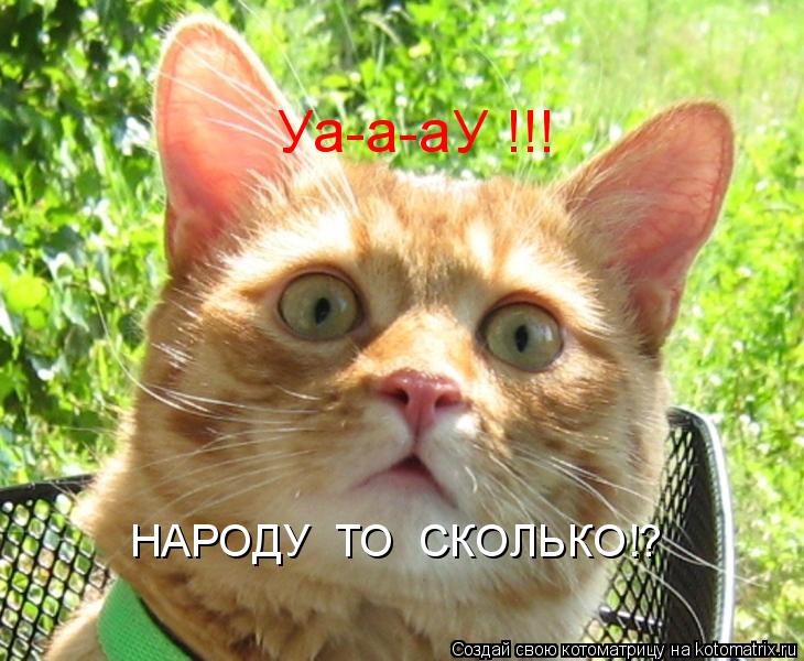 Уа-а-аУ !!! НАРОДУ ТО СКОЛЬКО!?... Котоматрица: Уа-а-аУ !!! НАРОДУ ТО СКОЛЬКО!?
