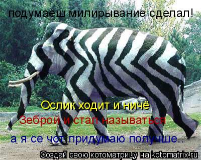 подумаеш милирывание сделал! Ослик ходит и ничё Зеброй и стал называться а я се чот придумаю получше.... Котоматрица: подумаеш милирывание сделал! Ослик ходит и ничё Зеброй и стал называться а я се чот придумаю получше..
