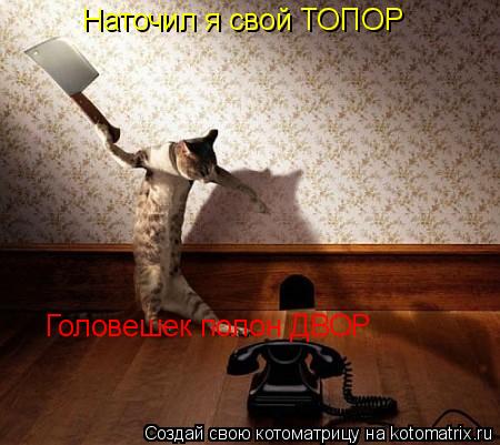 Наточил я свой ТОПОР Головешек полон ДВОР... Котоматрица: Наточил я свой ТОПОР Головешек полон ДВОР