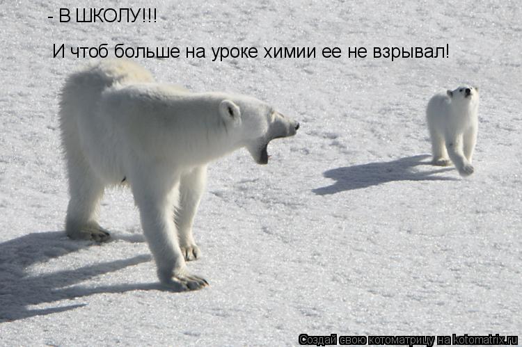 - В ШКОЛУ!!! И чтоб больше на уроке химии ее не взрывал!... Котоматрица: - В ШКОЛУ!!! И чтоб больше на уроке химии ее не взрывал!