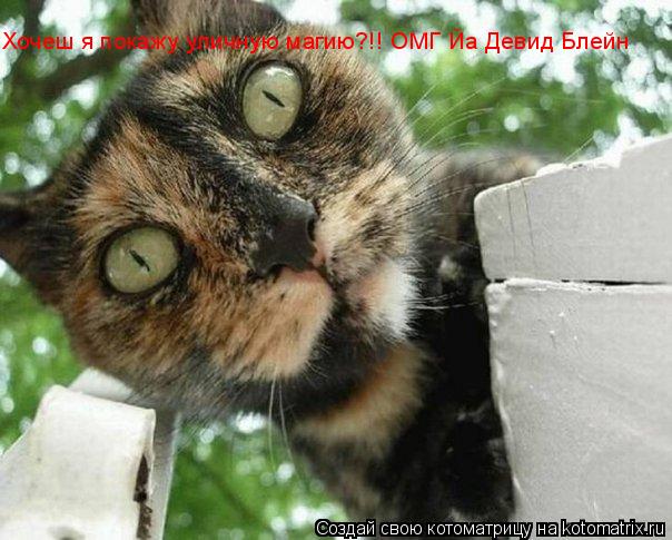 Хочеш я покажу уличную магию?!! ОМГ Йа Девид Блейн... Котоматрица: Хочеш я покажу уличную магию?!! ОМГ Йа Девид Блейн