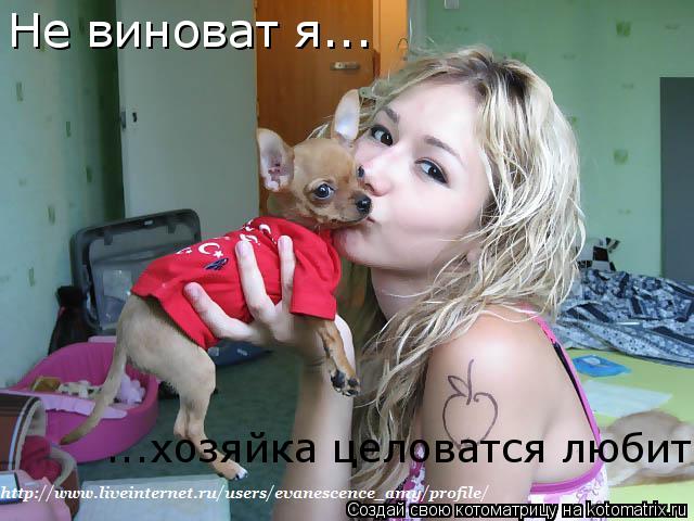 Не виноват я... ...хозяйка целоватся любит!... Котоматрица: Не виноват я... ...хозяйка целоватся любит!