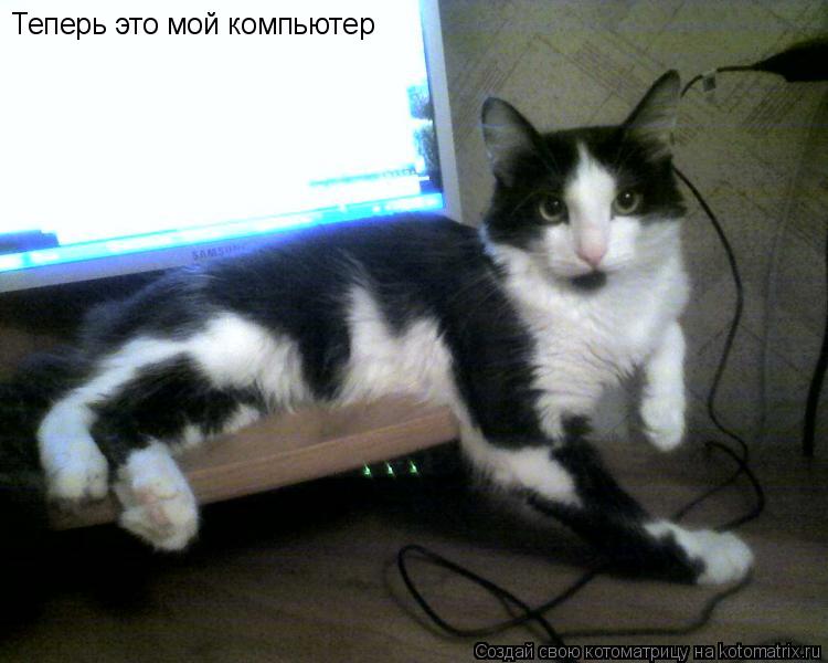 Теперь это мой компьютер... Котоматрица: Теперь это мой компьютер
