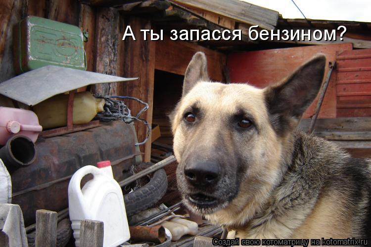 А ты запасся бензином?... Котоматрица: А ты запасся бензином?