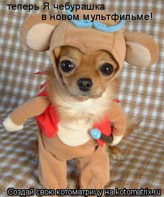 теперь Я чебурашка в новом мультфильме!... Котоматрица: теперь Я чебурашка в новом мультфильме!