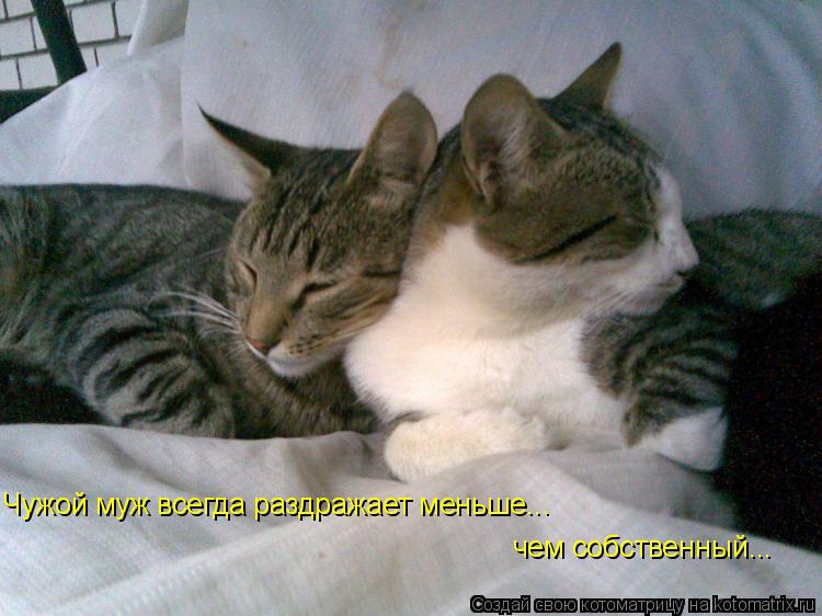 Чужой муж всегда раздражает меньше... чем собственный...... Котоматрица: Чужой муж всегда раздражает меньше... чем собственный...