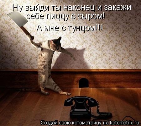 Ну выйди ты наконец и закажи себе пиццу с сыром!!! А мне если можно с анчоусом! Ну выйди ты наконец и... Котоматрица: Ну выйди ты наконец и закажи себе пиццу с сыром!!! А мне если можно с анчоусом! Ну выйди ты наконец и закажи себе пиццу с сыром! А мне с тунцом!!!