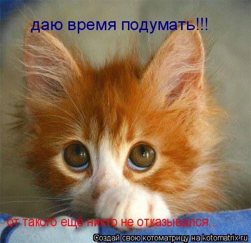 даю время подумать!!! от такого ещё никто не отказывался...... Котоматрица: даю время подумать!!! от такого ещё никто не отказывался...
