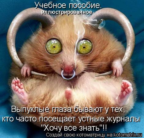 "Хочу все знать"!! кто часто посещает устные журналы Выпуклые глаза бывают у тех, Учебное пособие.... Котоматрица: "Хочу все знать"!! кто часто посещает устные журналы Выпуклые глаза бывают у тех, Учебное пособие. иллюстрированное