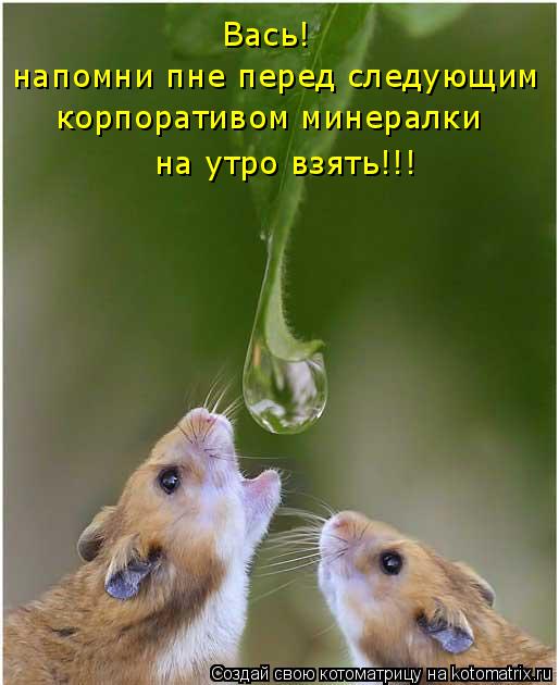 Вась! напомни пне перед следующим корпоративом минералки на утро взять!!!... Котоматрица: Вась! напомни пне перед следующим корпоративом минералки на утро взять!!!