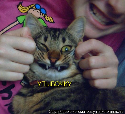 УЛЫБОЧКУ... Котоматрица: УЛЫБОЧКУ