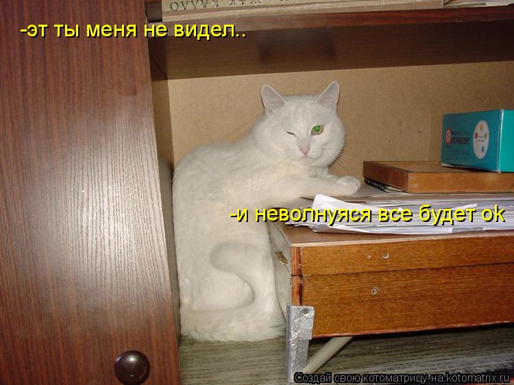 -эт ты меня не видел.. -и неволнуяся все будет ok... Котоматрица: -эт ты меня не видел.. -и неволнуяся все будет ok