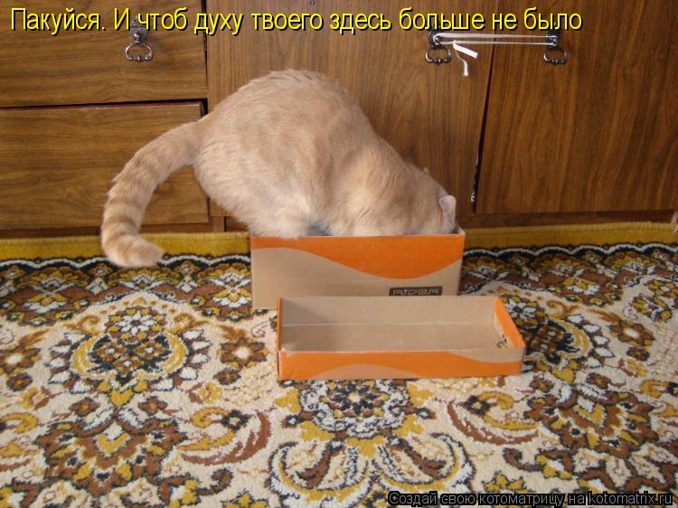 Пакуйся. И чтоб духу твоего здесь больше не было... Котоматрица: Пакуйся. И чтоб духу твоего здесь больше не было
