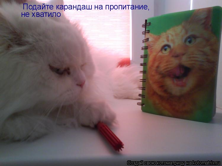 Подайте карандаш на пропитание, не хватило... Котоматрица: Подайте карандаш на пропитание, не хватило