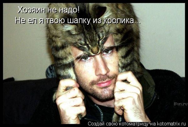 Хозяин не надо! Не ел я твою шапку из кролика...... Котоматрица: Хозяин не надо! Не ел я твою шапку из кролика...