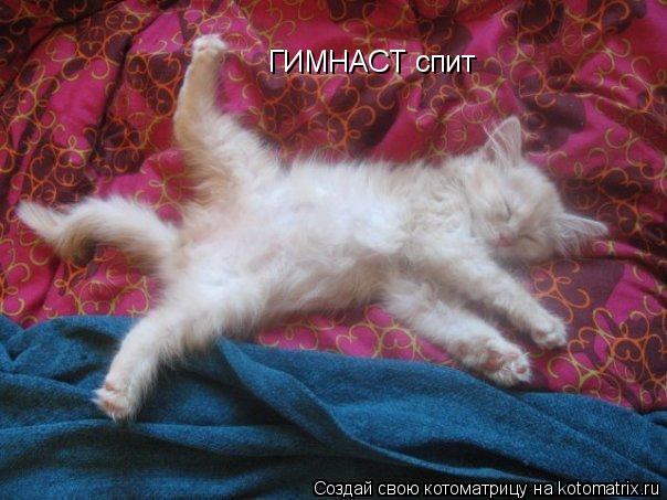 ГИМНАСТ спит... Котоматрица: ГИМНАСТ спит