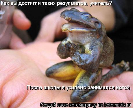 Как вы достигли таких результатов, учитель? Как вы достигли таких результатов, учитель? После школы я... Котоматрица: Как вы достигли таких результатов, учитель? Как вы достигли таких результатов, учитель? После школы я усилено занимался йогой.