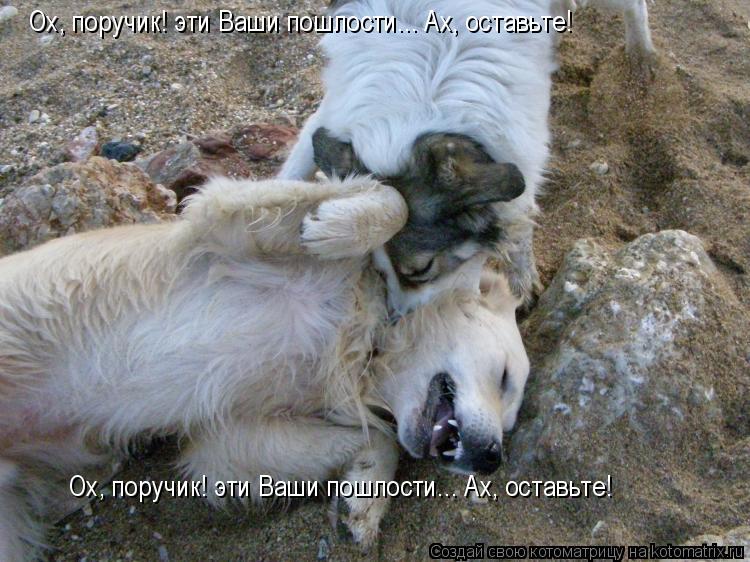 Ох, поручик! эти Ваши пошлости... Ах, оставьте! Ох, поручик! эти Ваши пошлости... Ах, оставьте!... Котоматрица: Ох, поручик! эти Ваши пошлости... Ах, оставьте! Ох, поручик! эти Ваши пошлости... Ах, оставьте!