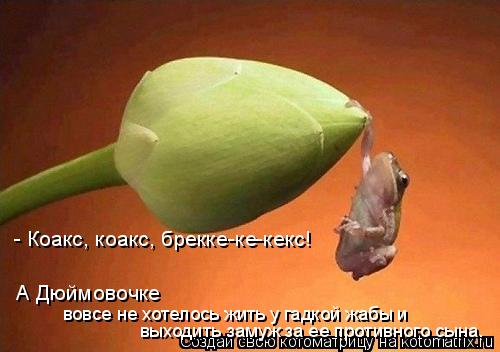 выходить замуж за ее противного сына. вовсе не хотелось жить у гадкой жабы и - Коакс, коакс, брекке-... Котоматрица: выходить замуж за ее противного сына. вовсе не хотелось жить у гадкой жабы и - Коакс, коакс, брекке-ке-кекс! А Дюймовочке