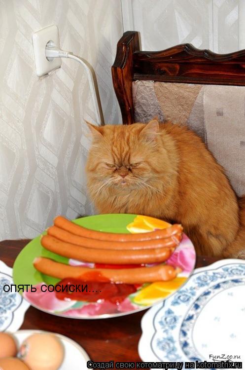 опять сосиски....... Котоматрица: опять сосиски....