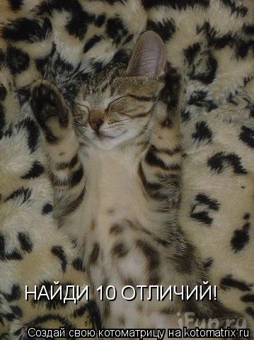 НАЙДИ 10 ОТЛИЧИЙ!... Котоматрица: НАЙДИ 10 ОТЛИЧИЙ!