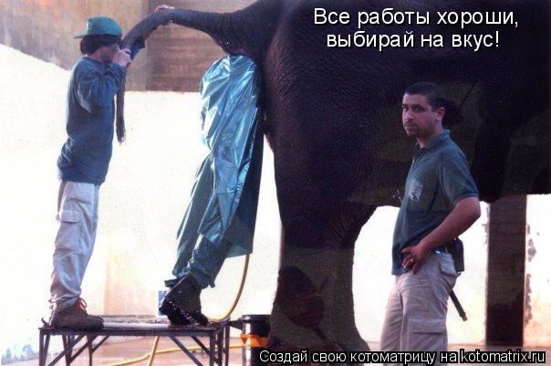 Все работы хороши, выбирай на вкус!... Котоматрица: Все работы хороши, выбирай на вкус!